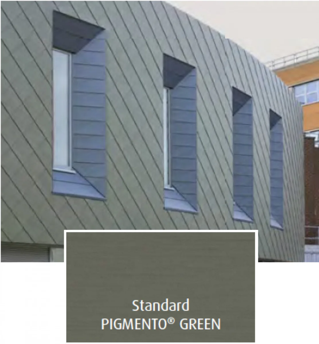 Feuille PIGMENTO® vert