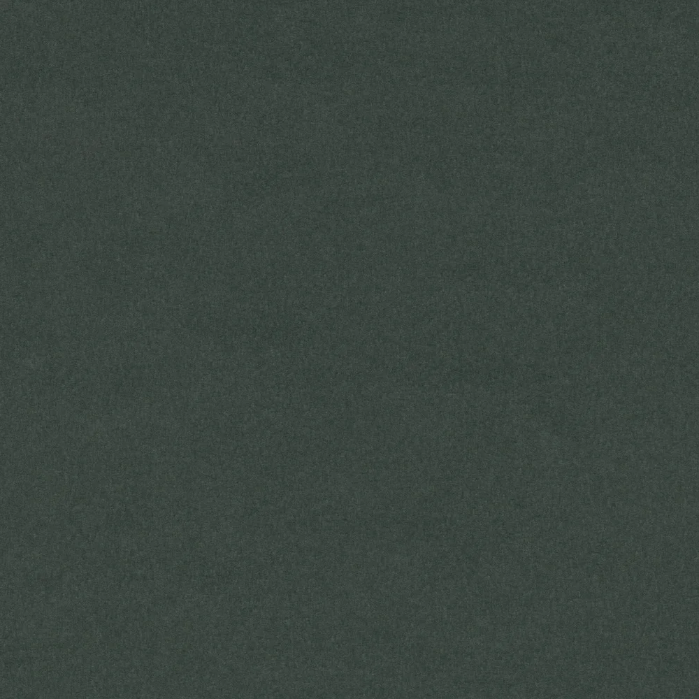 Furniture Linoleum conifer