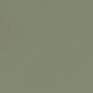 Furniture Linoleum olive