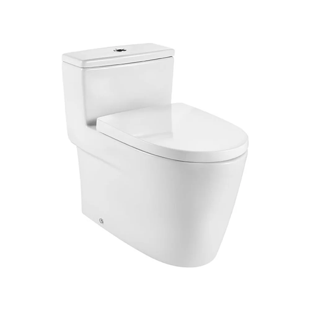 Inspira - One piece WC with vertical outlet