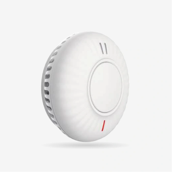 DAAF ANKA AJ-763 10 ANS LITHIUM