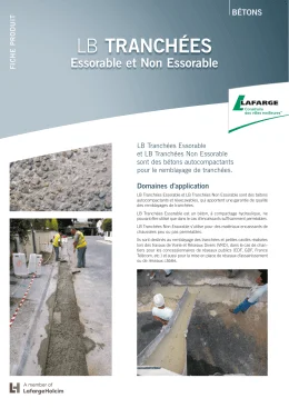 LB Coulis de remplissage