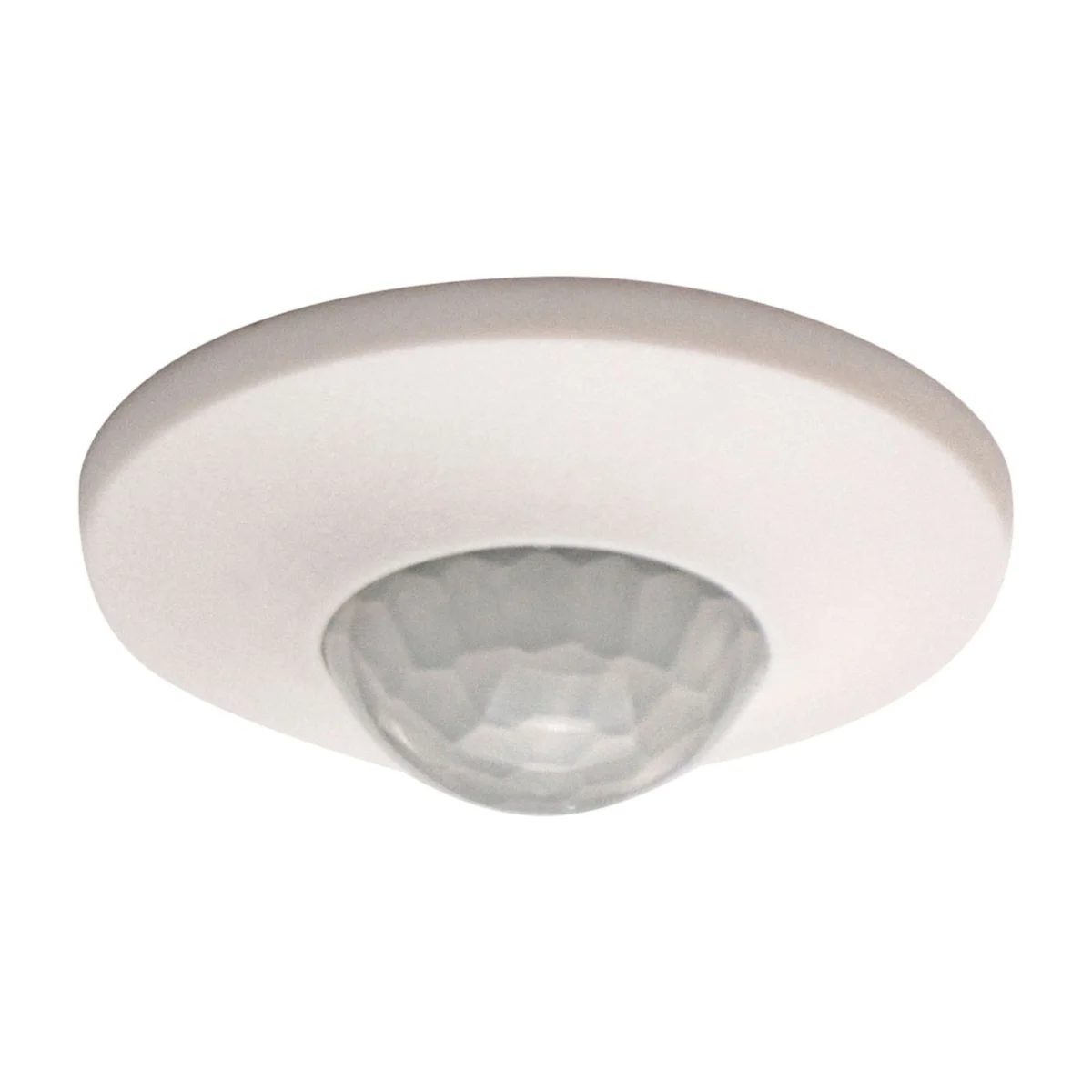 thePiccola S360-100 DE